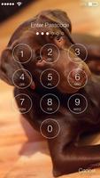 Labrador Dog Retriever Puppy Wallpaper Screen Lock скриншот 1