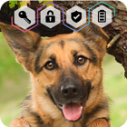 Dog German Shepherd Puppy Wallpaper HD Sceen Lock icono