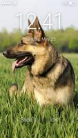 Dog German Shepherd Puppy Wallpaper HD Sceen Lock Affiche