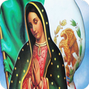 Oraciones Milagrosas Virgen de Guadalupe APK