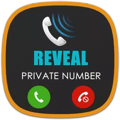 Display private number APK download