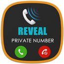 Display private number APK