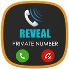 Display private number icon