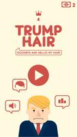 250k Trump Hair poster