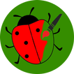 Ladybug (ladybird) paint app