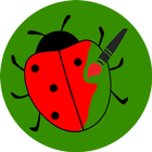 Ladybug (ladybird) paint app icône
