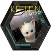 Kitten in space - Cute cat los