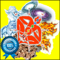 Vastu For House