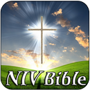 NIV Bible Study APK