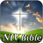 NIV Bible Study ícone