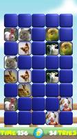 برنامه‌نما Match The Pets عکس از صفحه