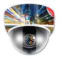L-Vision