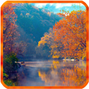Autumn Live Wallpaper APK