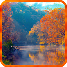 Autumn Live Wallpaper آئیکن