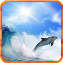Dolphin Live Wallpaper APK