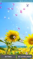 Sunflower Live Wallpapers Affiche