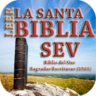 Biblia del Oso SEV 1569 ไอคอน