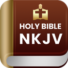 NKJV Audio Bible - New King Ja icon