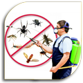 Home Infestation (Guide)