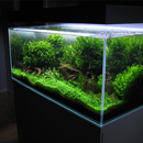 Home Aquarium Ideas APK