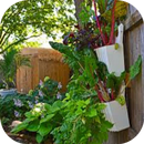 Home Vegetable Garden APK