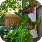 Home Vegetable Garden-icoon