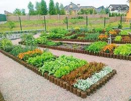 Home Vegetable Garden 스크린샷 1