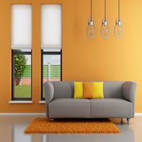 Home Interior Paint Ideas capture d'écran 1