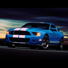 ikon Cool Mustang Shelby Wallpaper