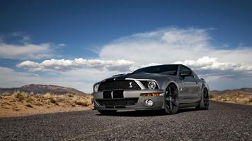 Cool Mustang Shelby Wallpaper poster