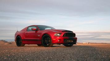 Cool Mustang Shelby Wallpaper 스크린샷 3