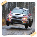 Rallycross cars wallpaper APK