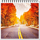 Road in Autumn Forest Wallpapers APK