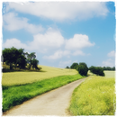 Nature Walk HD Wallpapers APK