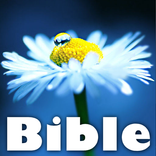 Hope : meaningful bible scriptures