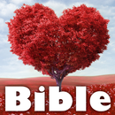 Love : meaningful bible script APK