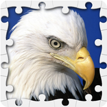 Animal Jigsaw Puzzles