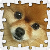 Dogs Jigsaw Puzzles APK