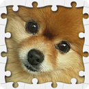 Jigsaw mignon de chiots APK