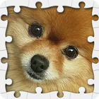Icona simpatici cuccioli puzzle