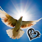 Daily Music Meditation icon