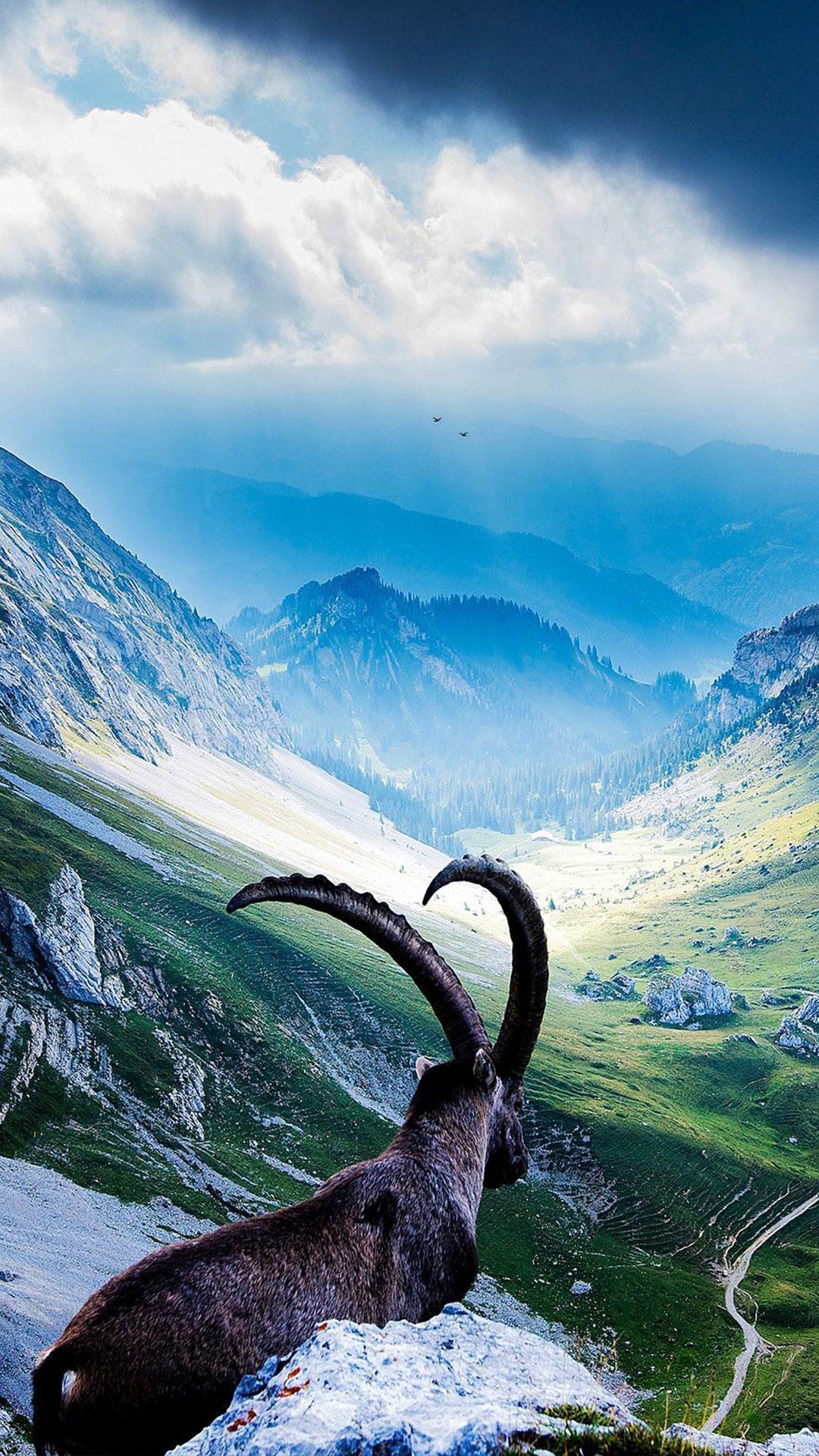 Capricorn Live Wallpaper for Android - APK Download