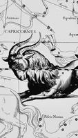 Capricorn Live Wallpaper Ekran Görüntüsü 2