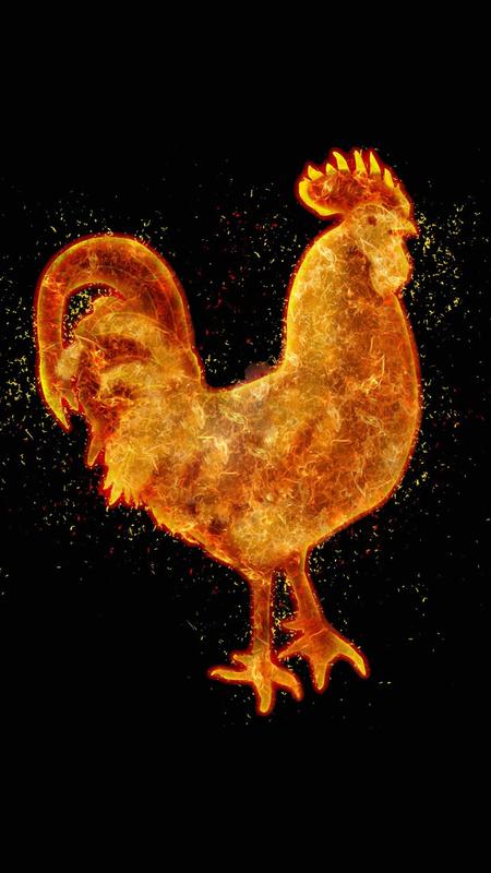 Gambar Animasi Ayam Jago Keren