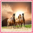 New Horse Onet Connect Games APK