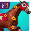 Personalización de caballos