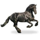 Koń Animowana Tapeta aplikacja