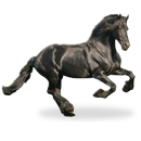 Horse Live Wallpaper APK