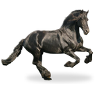 Kuda Latar Belakang Animasi ikon