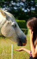 Cheval Fond d'écran Animé capture d'écran 1